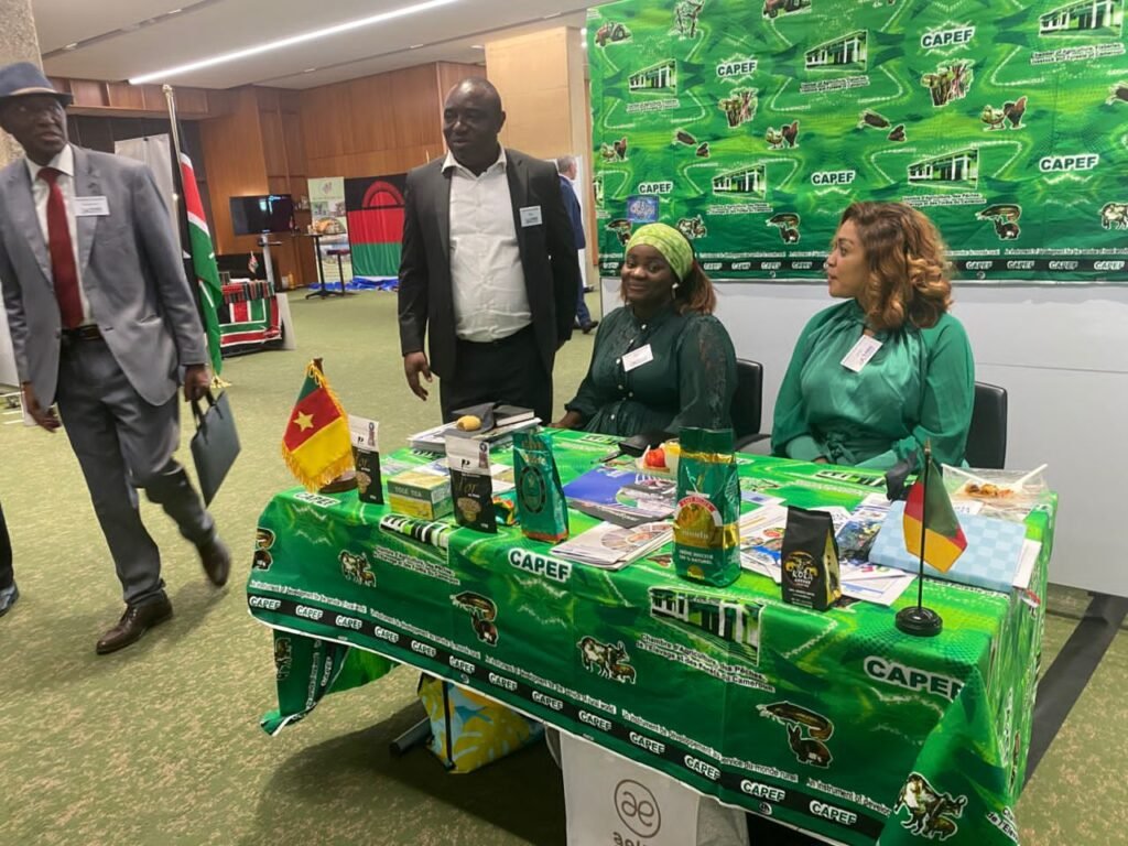 Stand de la CAPEF